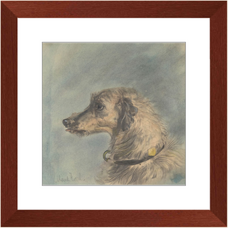 Scottish Deerhound Print, 1885–1900