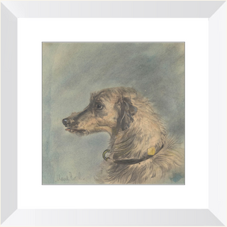 Scottish Deerhound Print, 1885–1900