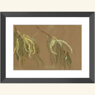 Study of Chestnut Tree Branches Print, 20th Century