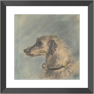 Scottish Deerhound Print, 1885–1900