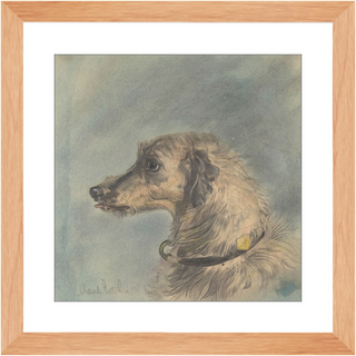 Scottish Deerhound Print, 1885–1900