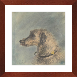 Scottish Deerhound Print, 1885–1900