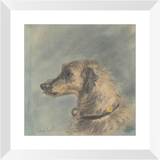 Scottish Deerhound Print, 1885–1900