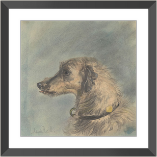 Scottish Deerhound Print, 1885–1900