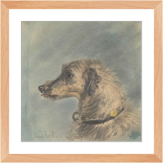 Scottish Deerhound Print, 1885–1900