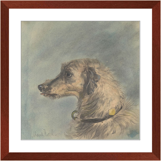 Scottish Deerhound Print, 1885–1900