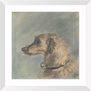 Scottish Deerhound Print, 1885–1900