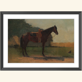 Saddle Horse Print, Late 19th Century