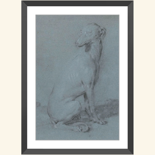 A Sitting Dog Print, 16th-17th Century