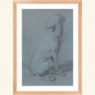 A Sitting Dog Print, 16th-17th Century