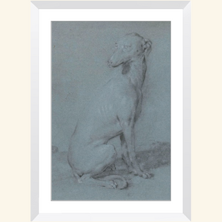 A Sitting Dog Print, 16th-17th Century