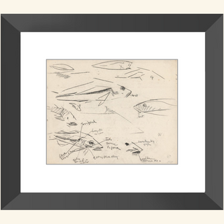 Dutch Fish Study Sketch Print, 17th Century