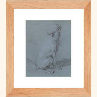 A Sitting Dog Print, 16th-17th Century