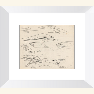 Dutch Fish Study Sketch Print, 17th Century