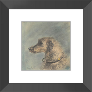 Scottish Deerhound Print, 1885–1900