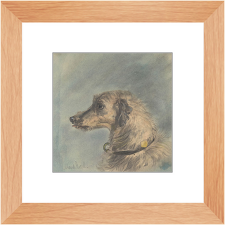 Scottish Deerhound Print, 1885–1900