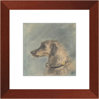 Scottish Deerhound Print, 1885–1900