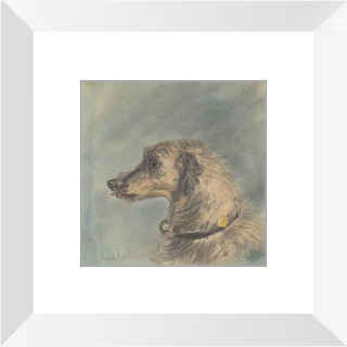 Scottish Deerhound Print, 1885–1900