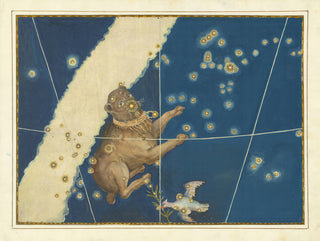 Constellation Canis Major Print, 1603