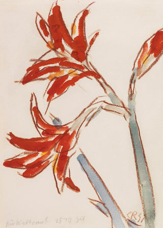 Roter Amaryllis Print, 1931