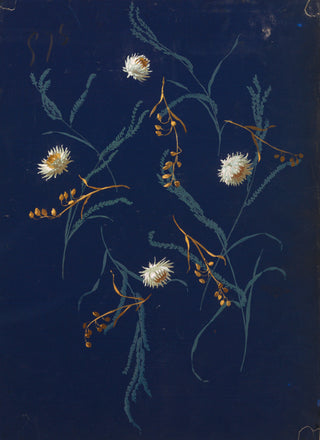 Drawing from Saint Germain Print VI, 1896