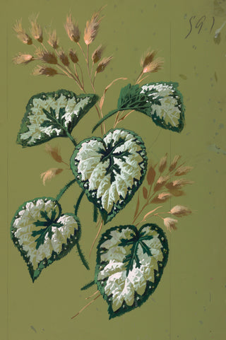 Drawing from Saint Germain Print II, 1896
