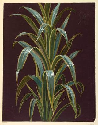 Drawing from Saint Germain Print XI, 1896