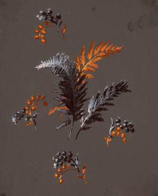 Drawing from Saint Germain Print V, 1896