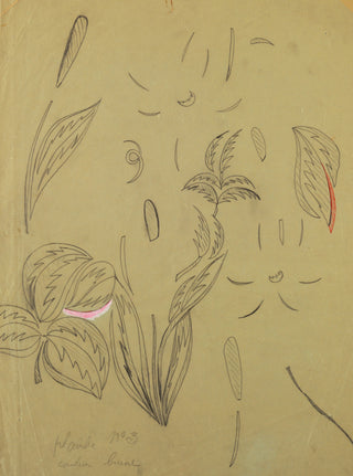 Tropical Flowers Print, 1912-1913