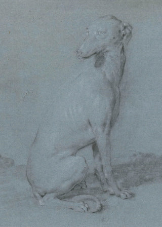 A Sitting Dog Print, 16th-17th Century