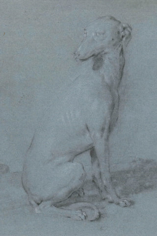 A Sitting Dog Print, 16th-17th Century