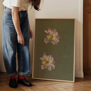 Study of Pale Pink Peonies Print, Early 20th Century