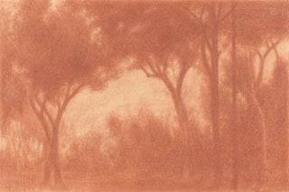 Forest Landscape with a Clearing Print, 1911-1923