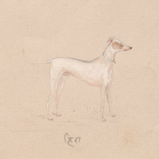 India, Company School Dog Print I, 19th Century