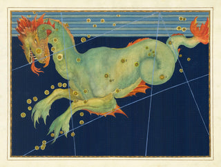 Constellation Cetus Print, 1603