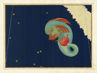Constellation Delphinus Print, 1603