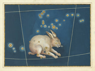 Constellation Lepus Print, 1603