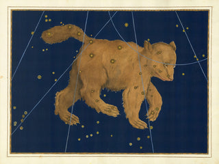 Constellation Ursa Major Print, 1603