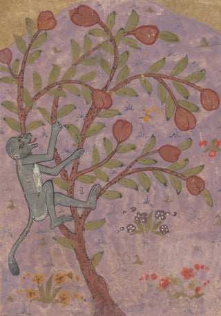 Persian Manuscript Illustration X Print, 1540