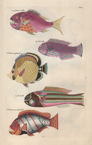 Poissons Crevisses et Crabes Prints Collection (Set of 2), 1754