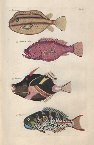 Poissons Crevisses et Crabes Prints Collection (Set of 2), 1754