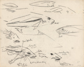 Dutch Fish Study Sketch Print, 17th Century